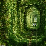 ウクライナ　恋人達の聖地「愛のトンネル」