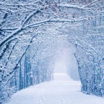 冬の美しさを再認識する世界の雪景色パート２