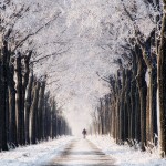冬の美しさを再認識する世界の雪景色